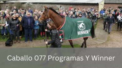 Caballo 077 Programas Y Winner