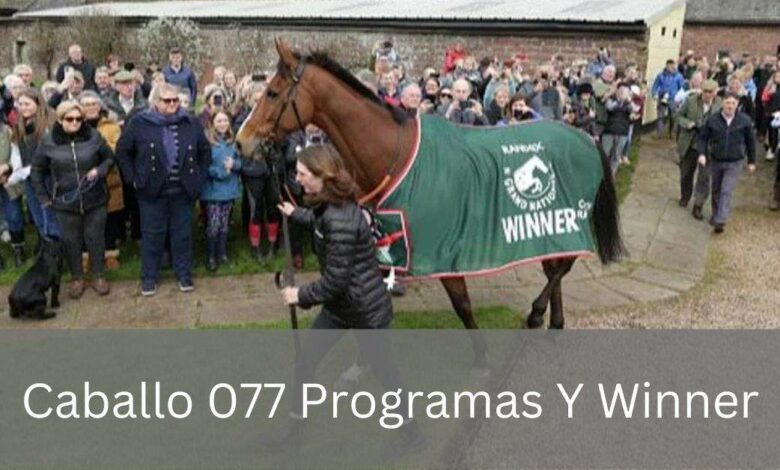 Caballo 077 Programas Y Winner