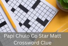 Papi Chulo Co Star Matt Crossword Clue