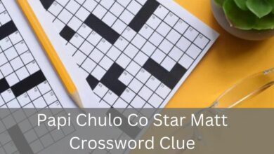 Papi Chulo Co Star Matt Crossword Clue