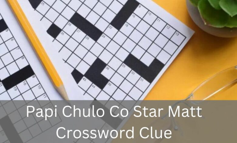 Papi Chulo Co Star Matt Crossword Clue